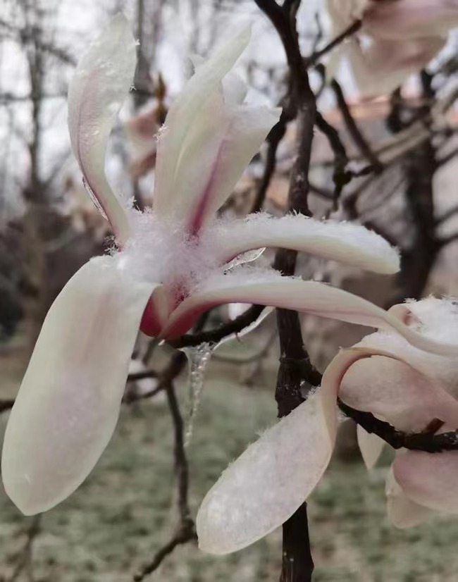 Бейж??де ?ар жауды
