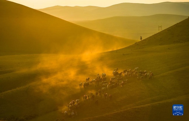 Жаз жайлауда ж?йтк?ген жыл?ылар