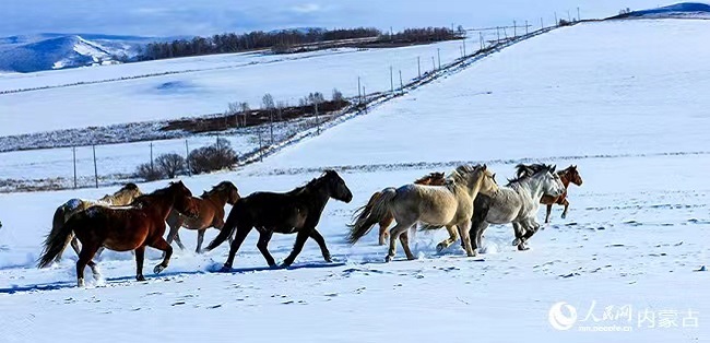 ?шк? Мо???лды? Эргуна ?аласыны? ?арлы ал?абында жыл?ылар ойна? салады