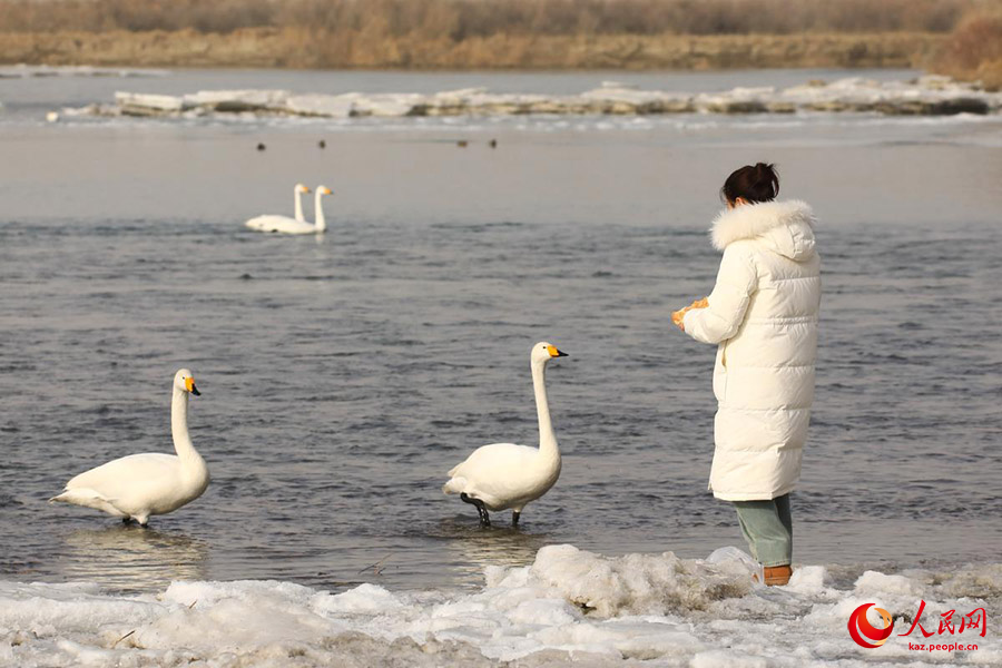 Хэцзин, Шы?жа?: Кайду к?л?ндег? а??улар