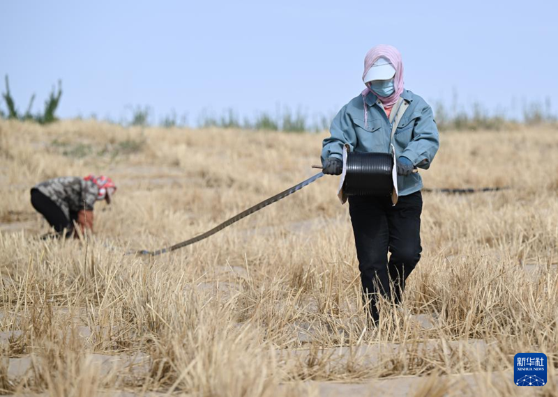 ?шк? Мо???лда ?р т?рл? ?д?стермен Коркинь ??мы т?зг?нделд?