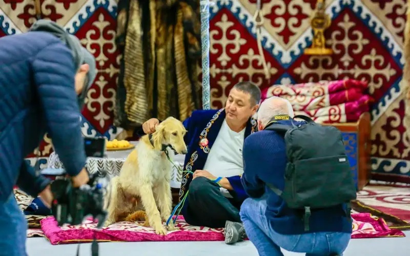 Астанада иттерд?? халы?аралы? к?рмес? ?т?п жатыр